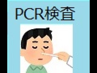 【日本帰国時】新型コロナウイルスPCR検査　証明書取得、通訳アシストサービス（土曜日、日曜日、祭日除く）